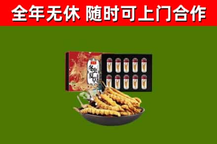 隆阳区烟酒回收冬虫夏草礼盒.jpg